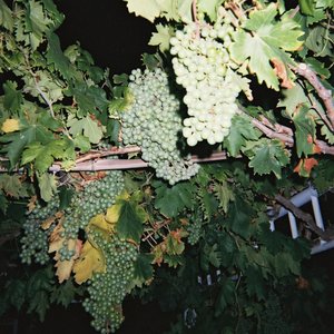 精品国产一区二区三区护卡密
