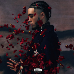 精品国产一区二区三区护卡密
